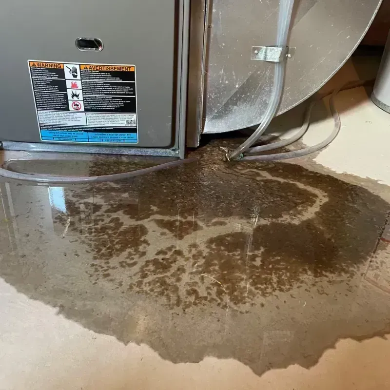 Appliance Leak Cleanup in Grayson, KY